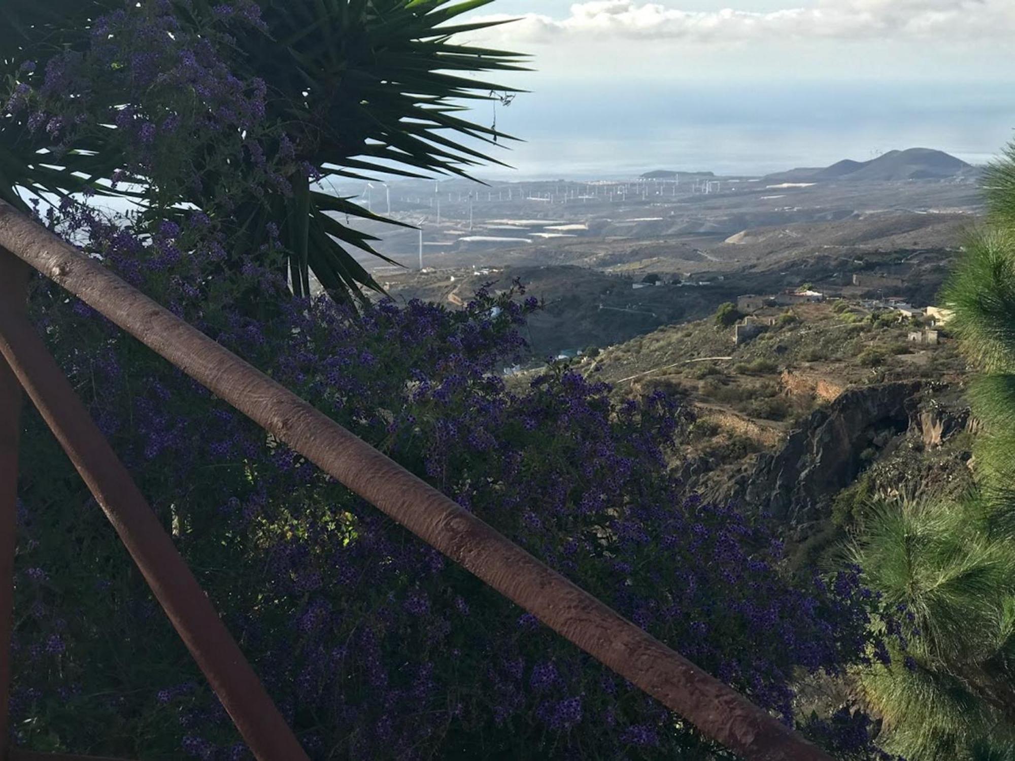 Finca Las Polinarias Casa Cueva En Fasnia Santa Cruz de Tenerife Dış mekan fotoğraf