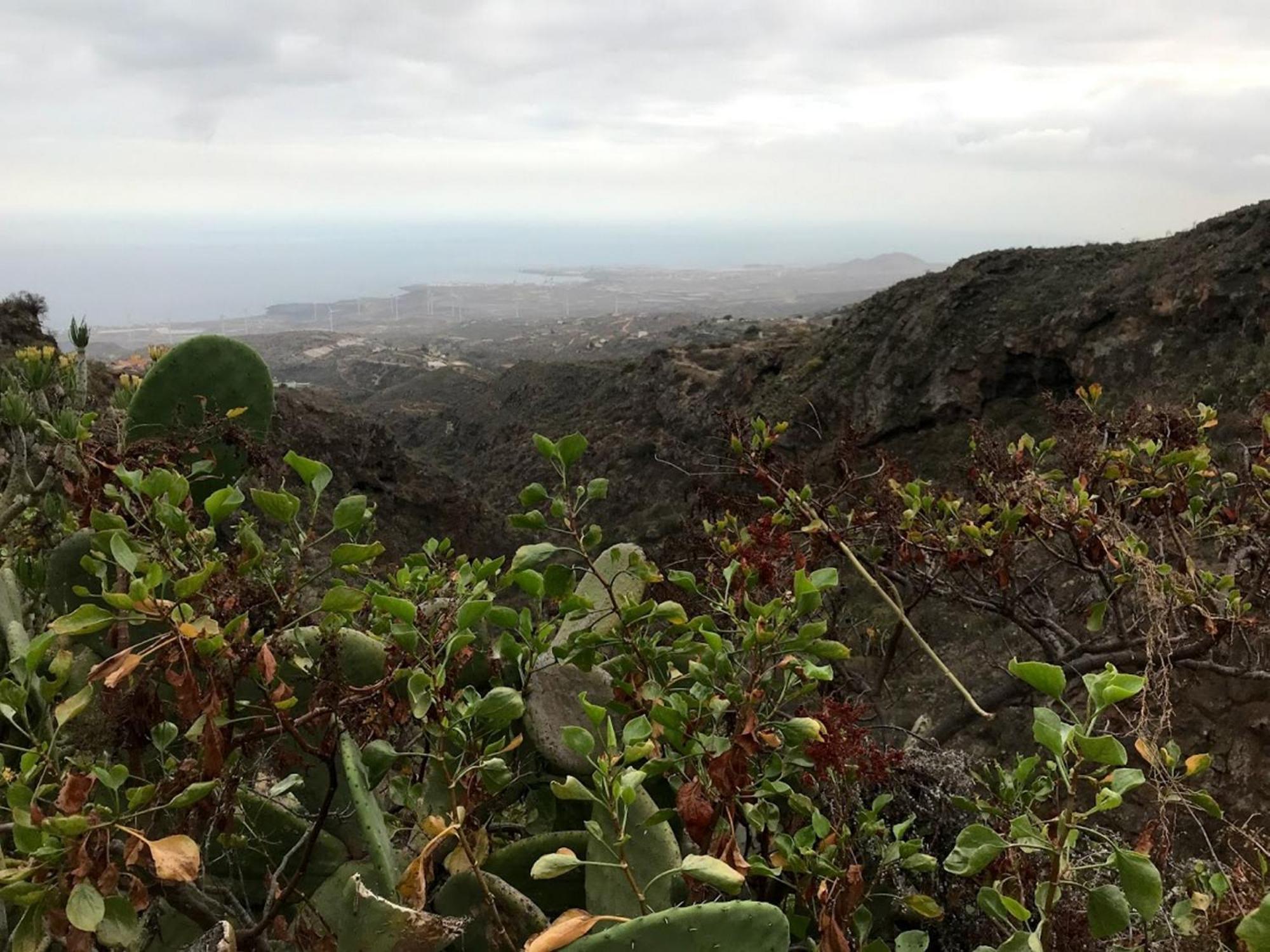 Finca Las Polinarias Casa Cueva En Fasnia Santa Cruz de Tenerife Dış mekan fotoğraf