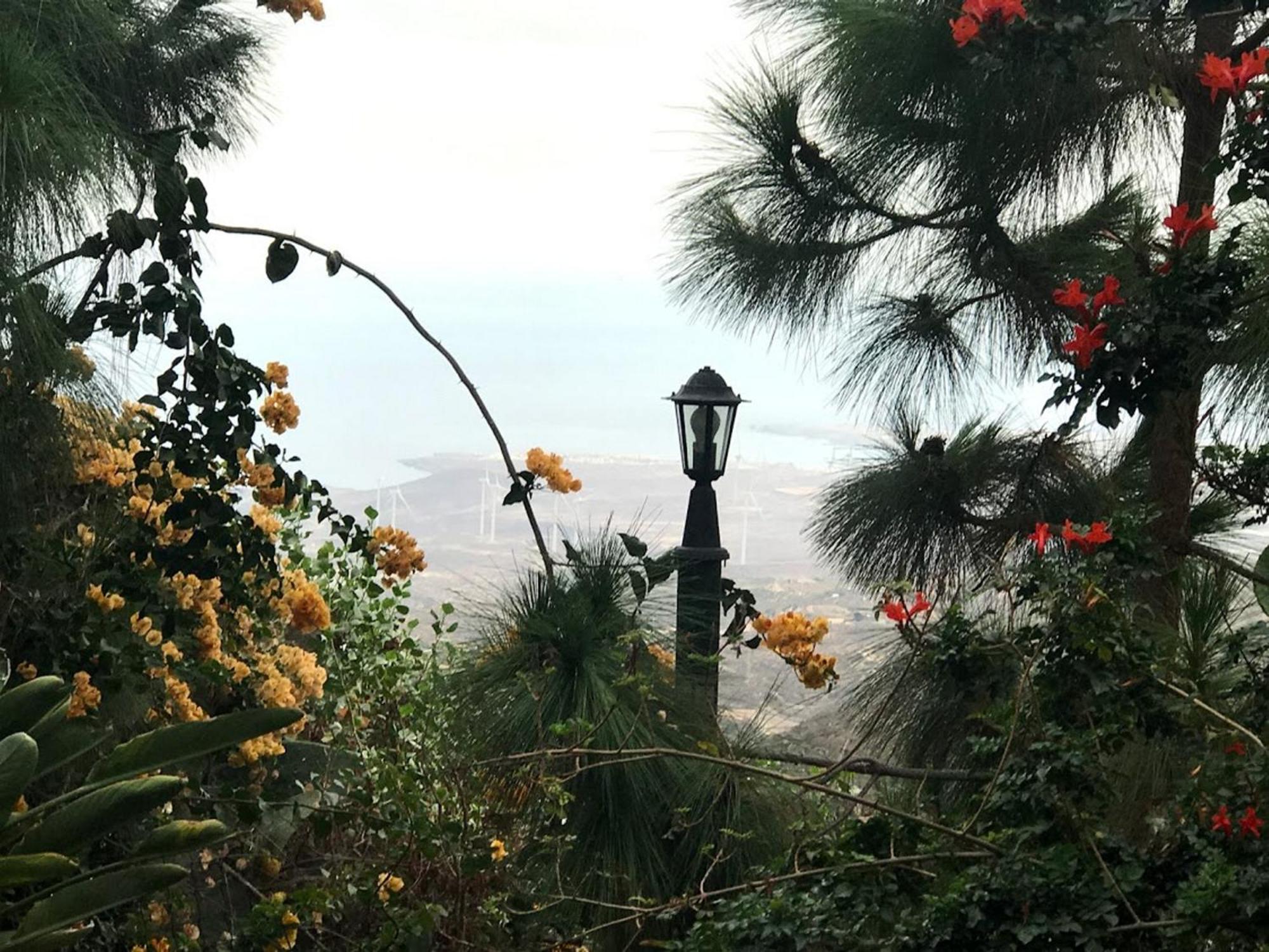 Finca Las Polinarias Casa Cueva En Fasnia Santa Cruz de Tenerife Dış mekan fotoğraf