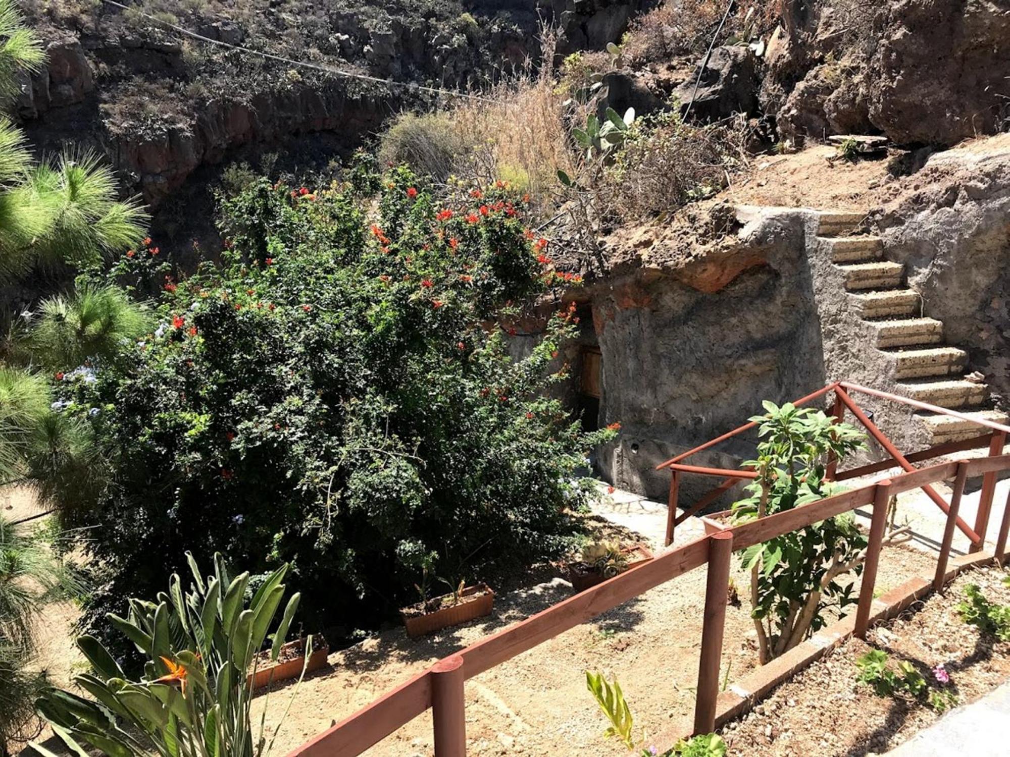 Finca Las Polinarias Casa Cueva En Fasnia Santa Cruz de Tenerife Dış mekan fotoğraf