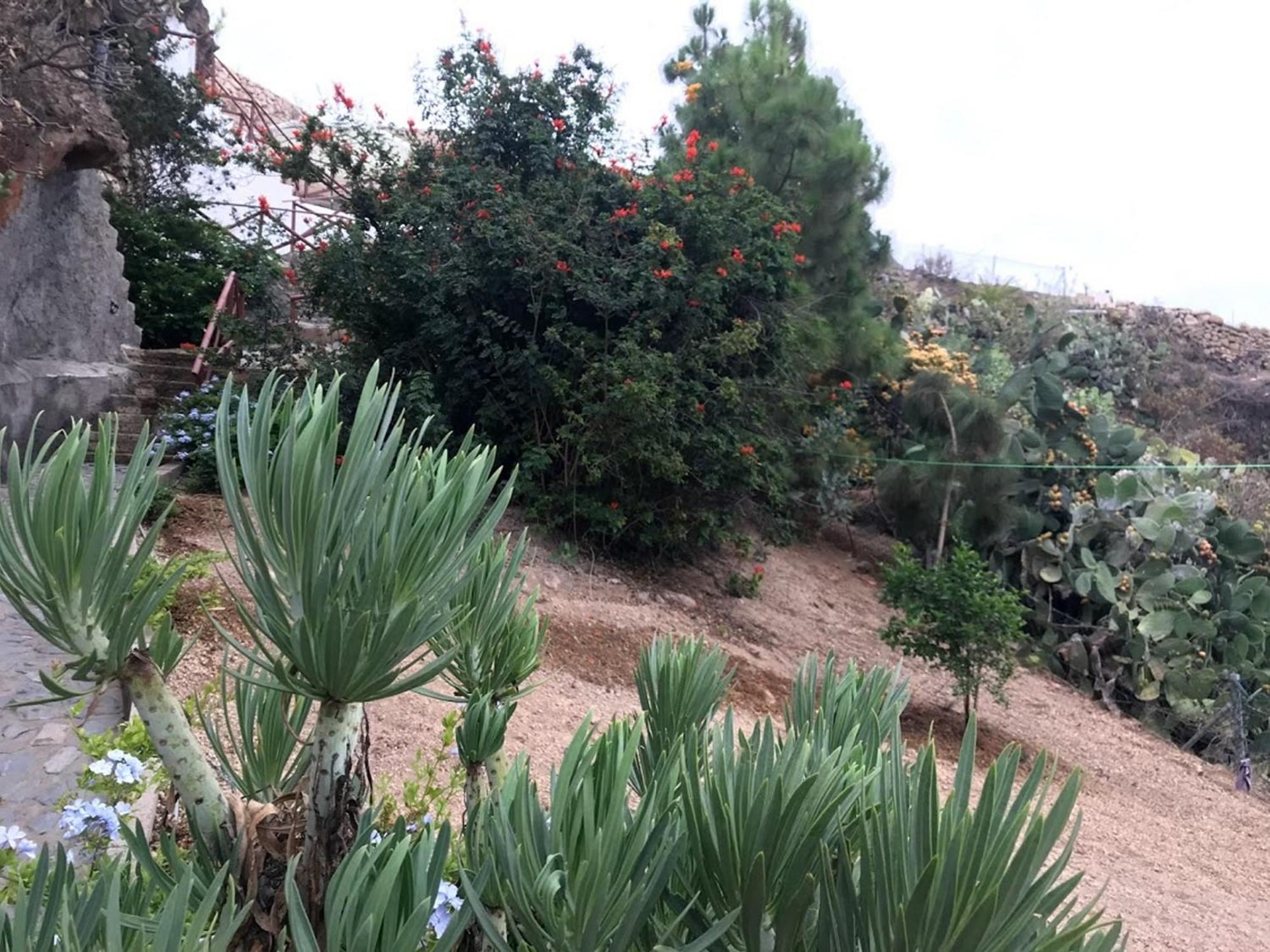 Finca Las Polinarias Casa Cueva En Fasnia Santa Cruz de Tenerife Dış mekan fotoğraf