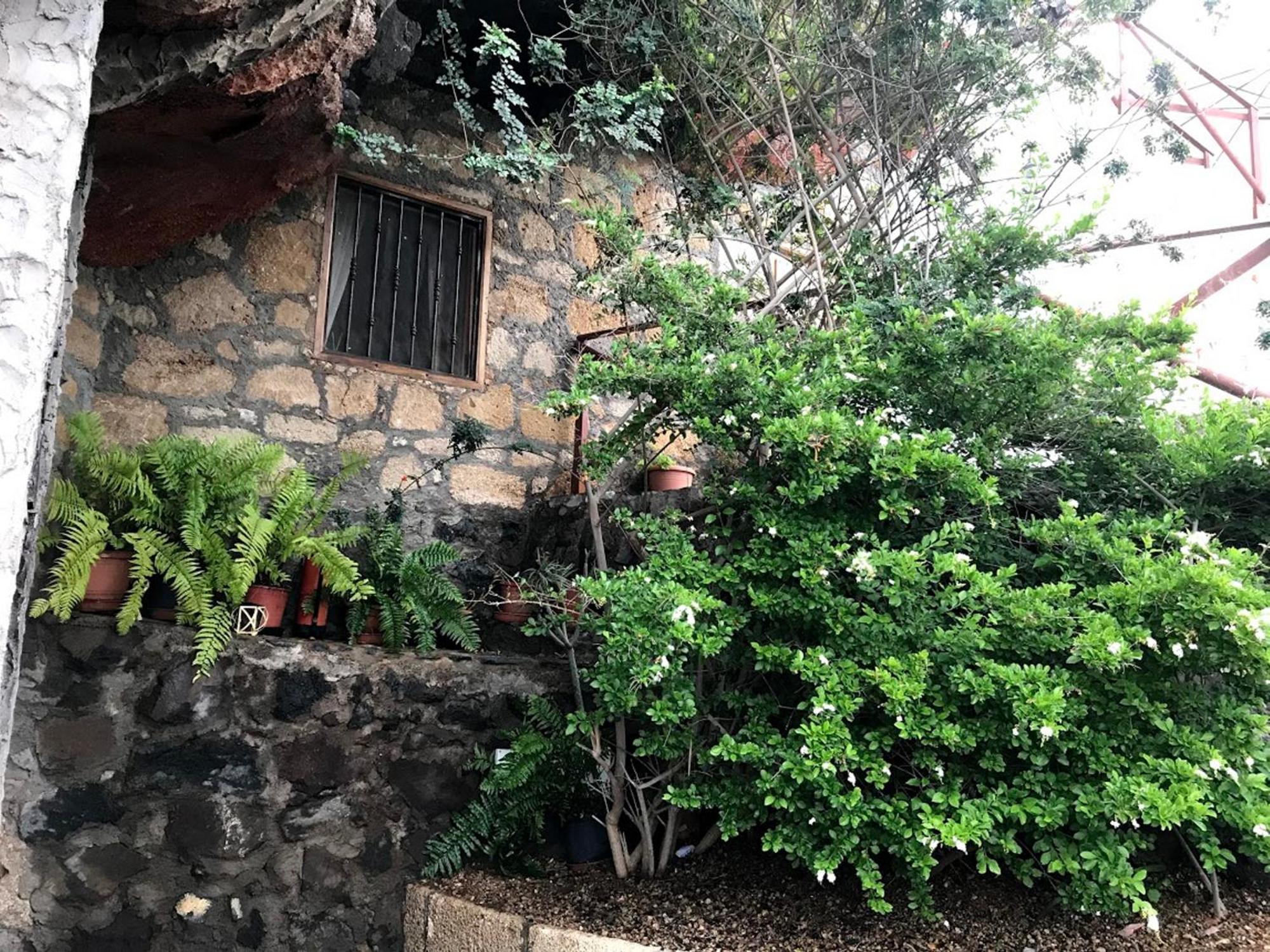 Finca Las Polinarias Casa Cueva En Fasnia Santa Cruz de Tenerife Dış mekan fotoğraf