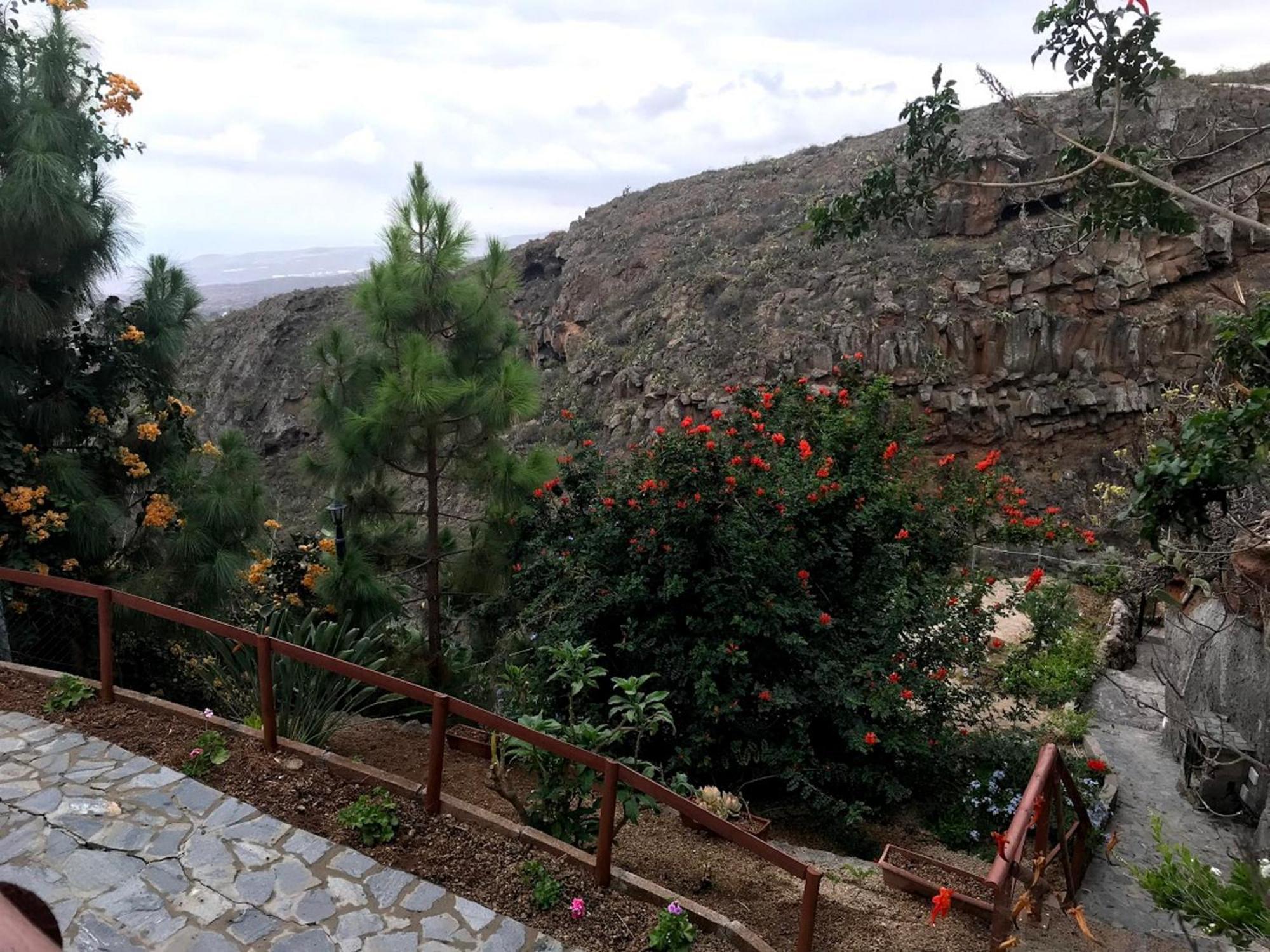 Finca Las Polinarias Casa Cueva En Fasnia Santa Cruz de Tenerife Dış mekan fotoğraf