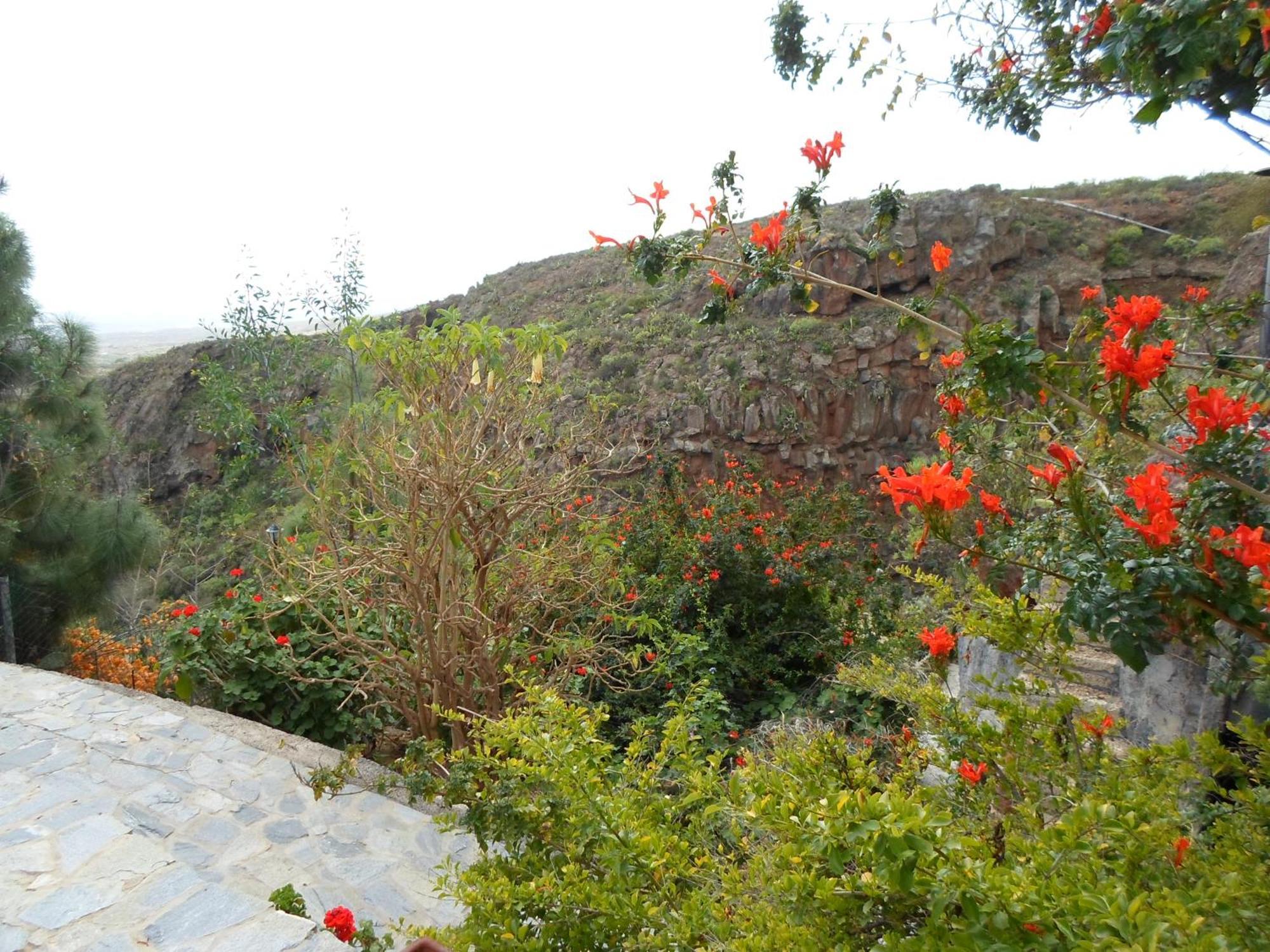 Finca Las Polinarias Casa Cueva En Fasnia Santa Cruz de Tenerife Dış mekan fotoğraf