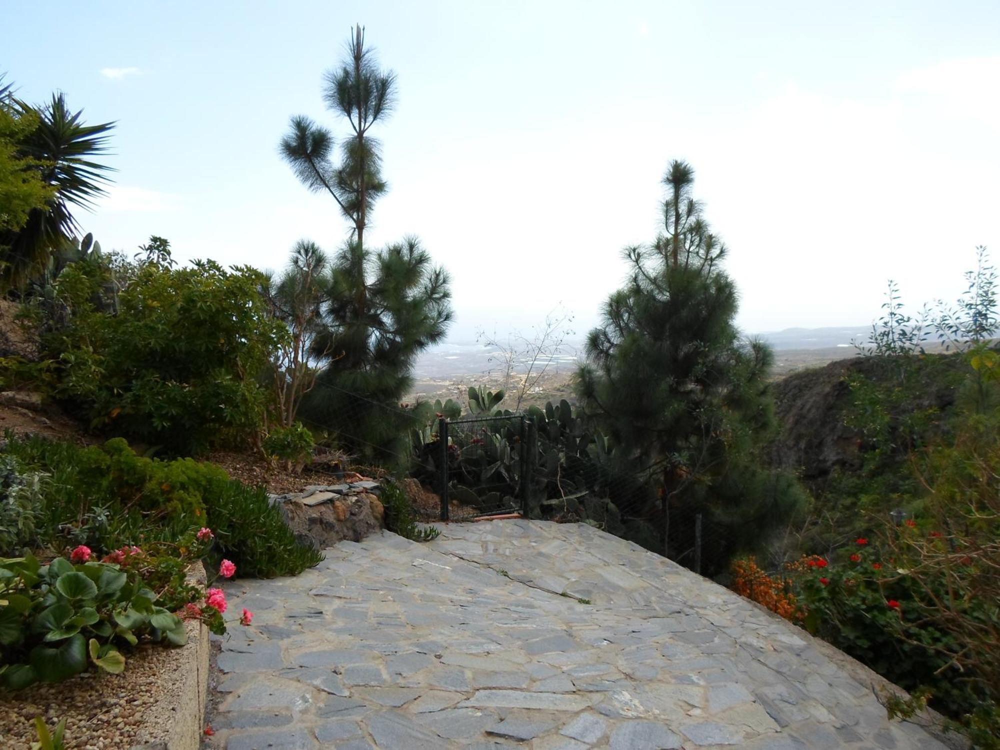 Finca Las Polinarias Casa Cueva En Fasnia Santa Cruz de Tenerife Dış mekan fotoğraf